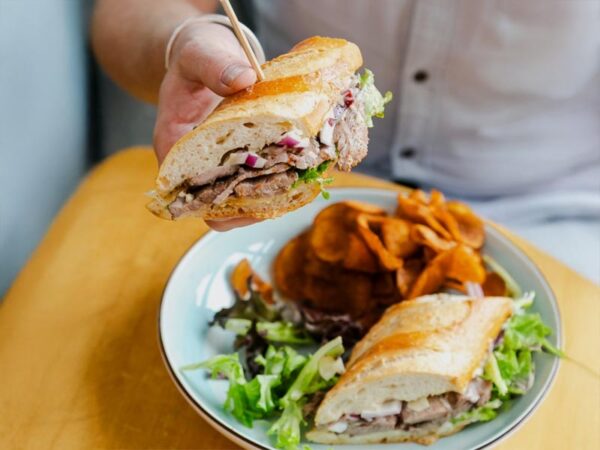 Home 3 Savor Our Sandwiches: The Taste of Evolution